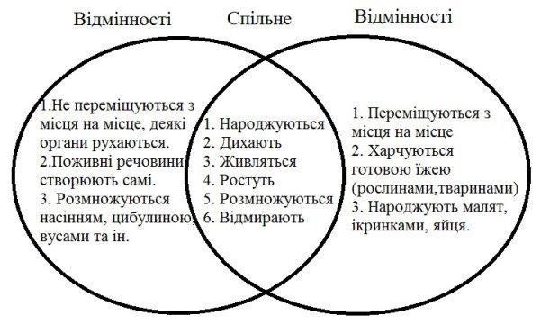 Урок "Тварини. Різноманітність тварин"